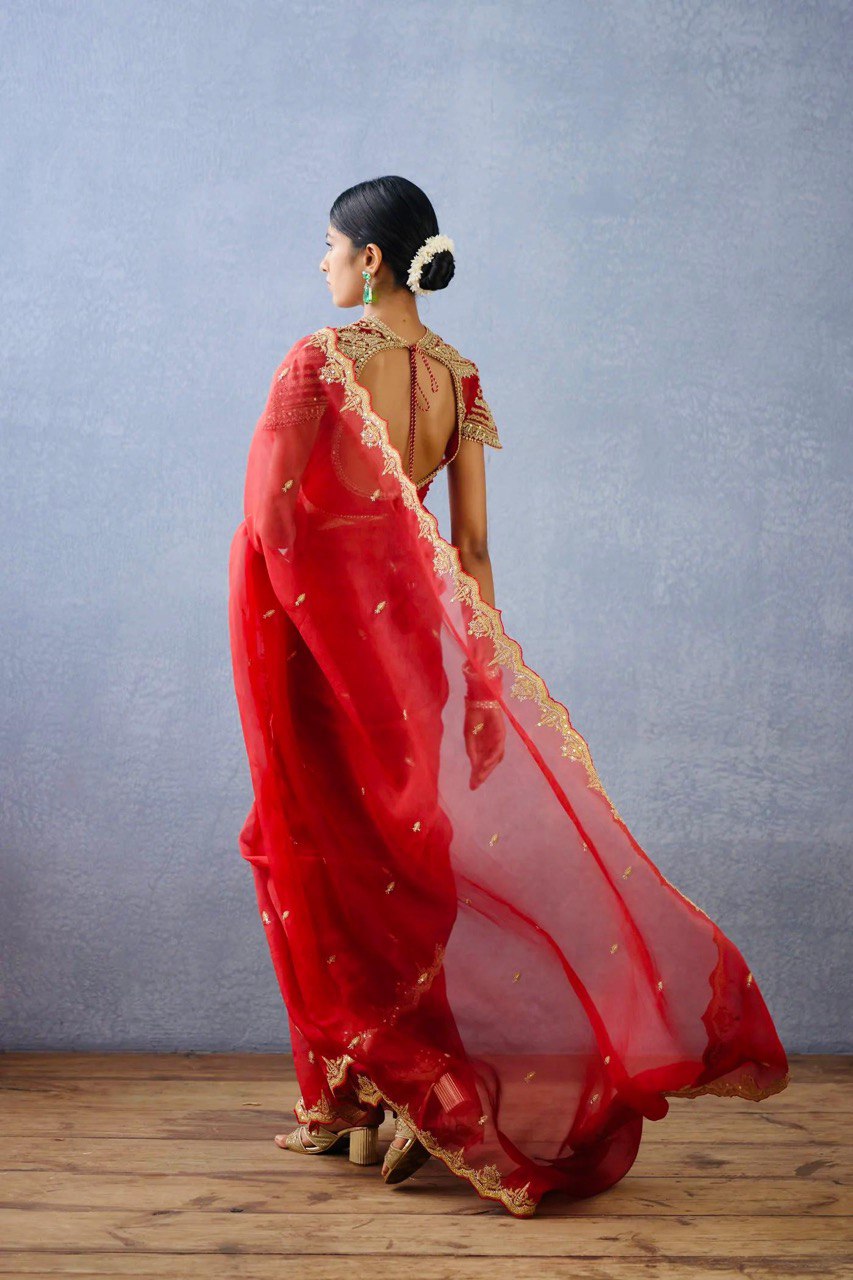 "Red Net Saree with Royal Gold Embroidery | Krushi Life Stylr"