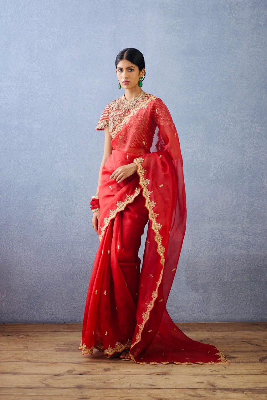 "Red Net Saree with Royal Gold Embroidery | Krushi Life Stylr"