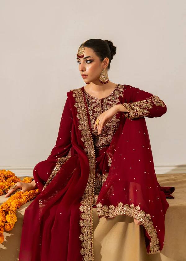 Luxury Maroon Pakistani Suit with Dupatta – Ethnic Wear |Krushi Life Style